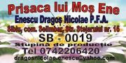 Afis Prisaca lui Mos Ene