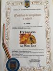 Certificat de inregistrare a marcii