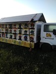 Camionul plin cu stupi
