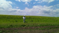 Pastoral la rapiţă
