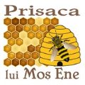 Sigla Prisaca lui Mos Ene